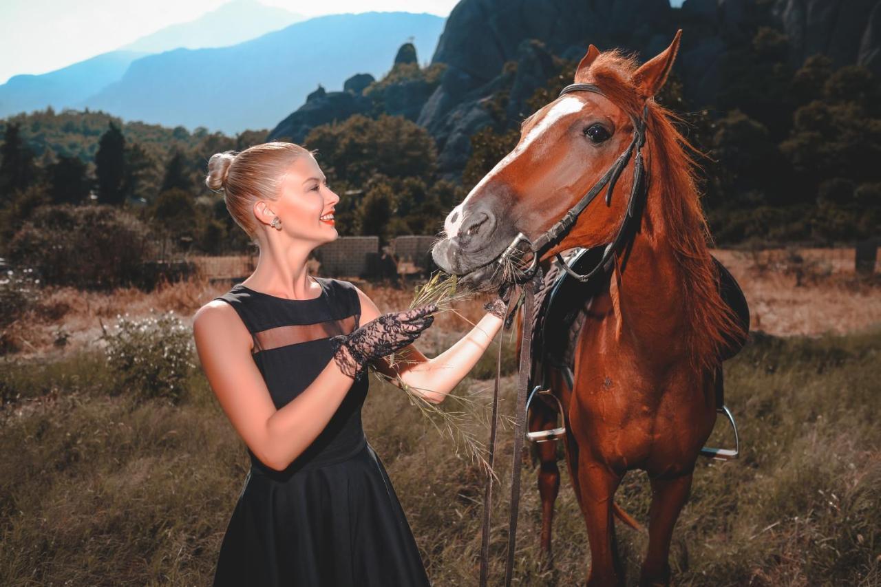 Hotel Berke Ranch&Nature ケメル エクステリア 写真