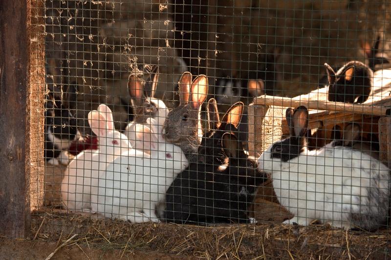 Hotel Berke Ranch&Nature ケメル エクステリア 写真